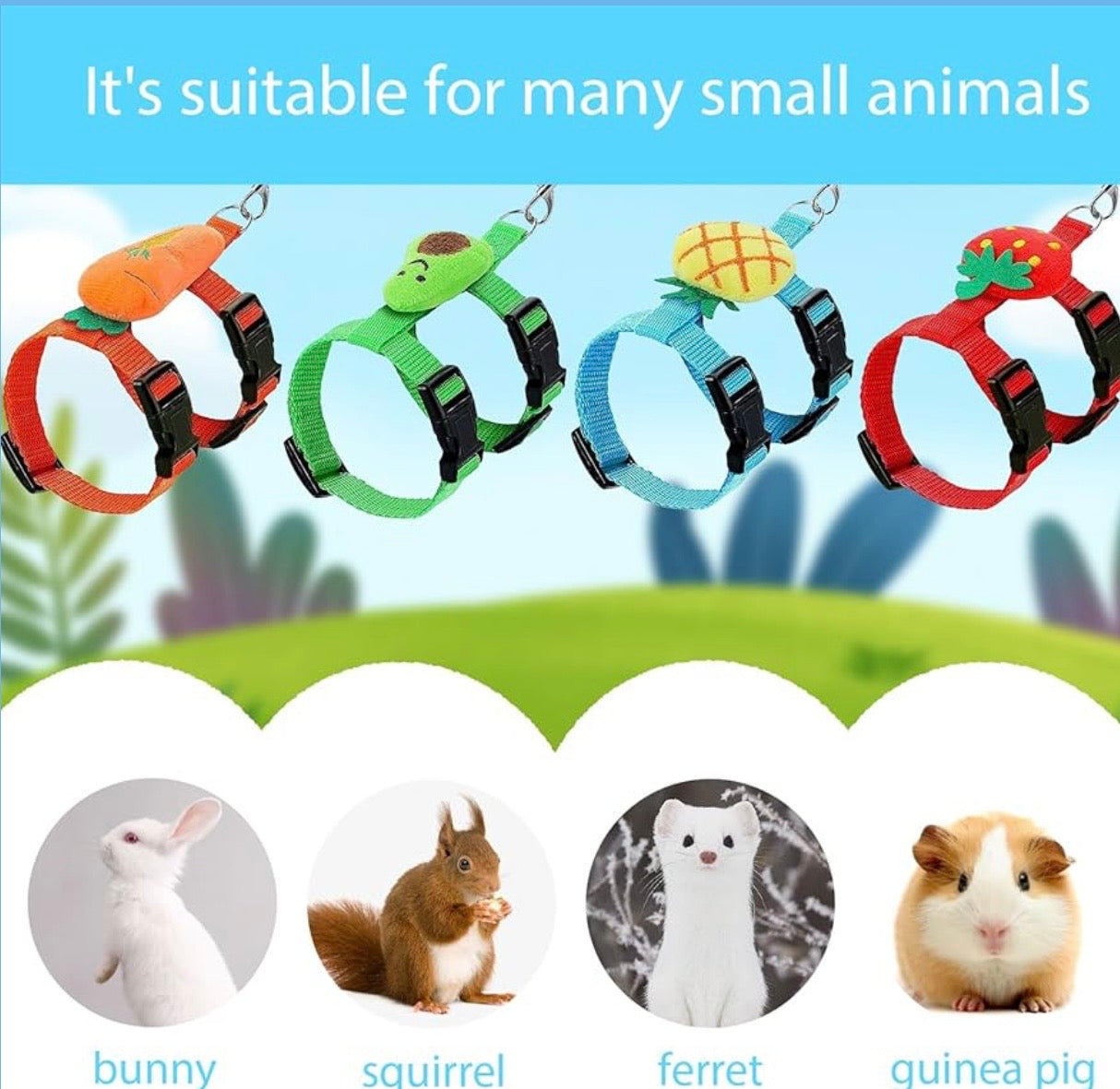 Adjustable Harness and Leash Set for Small Animal