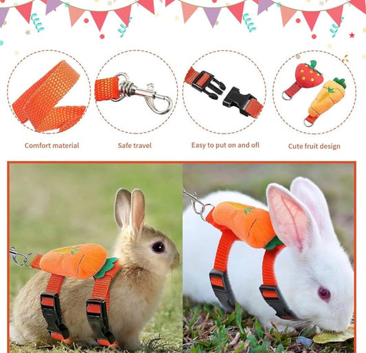 Adjustable Harness and Leash Set for Small Animal