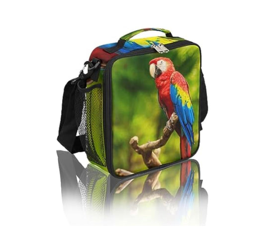 Parrot lunchbox